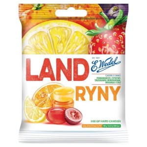 LANDRYNKI WEDEL OWOCOWE 90G/16